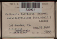 Image Associated With the Occurence